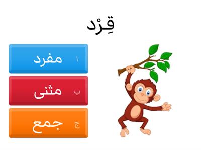  العدد ( مفرد / مثنى / جمع )