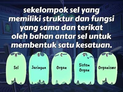 Pretes Struktur dan Fungsi Jaringan Tumbuhan