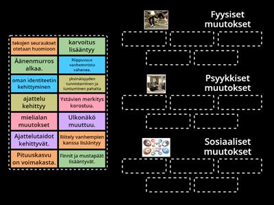 Syke 8 kpl 6 murrosiän muutokset