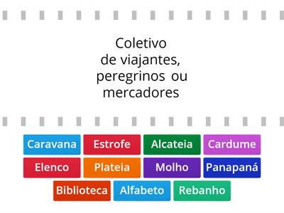 Atividade Português - SUBSTANTIVOS COLETIVOS