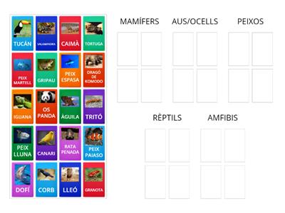 Classifica els animals vertebrats