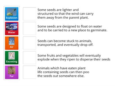 Seed Dispersal