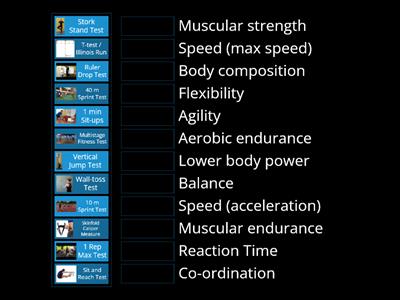 Components of Fitness and Tests