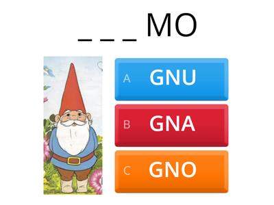 INSERISCI GNA,GNE,GNI,GNO,GNU
