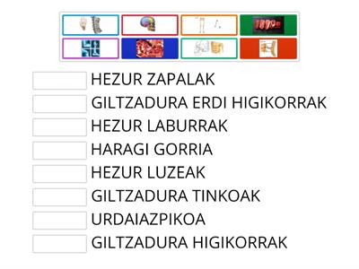 ASTEKO KONTSUMOA+ GILTZADURA MOTAK + HEZUR MOTAK