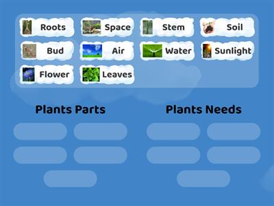 Plants Needs and Parts