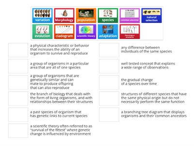 Evolution: Change Over Time SNB p. 75