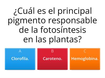 FOTOSÍNTESIS/NUTRICIÓN EN SERES VIVOS # 1