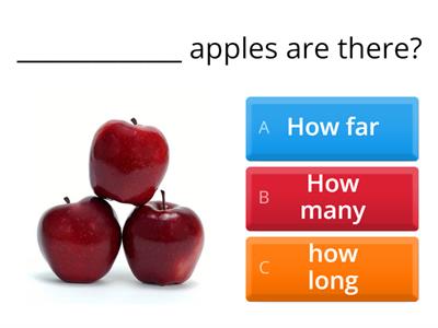 How far/ how long/ how many?