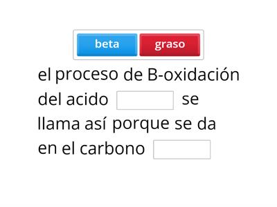 proceso de beta oxidación 