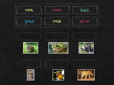 match the animal noise to the correct animal