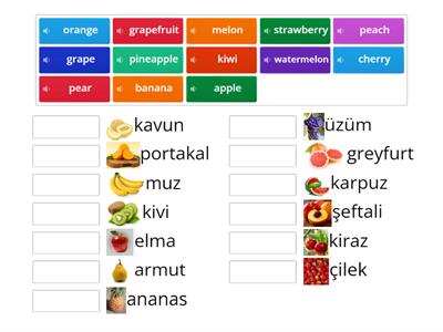 Fruits 1 - Meyveler 1 - Quiz 2