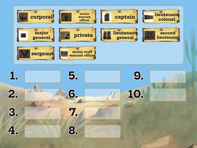 Rank Structure