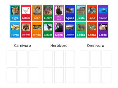 Animales carnívoros, herbívoros y omnívoros