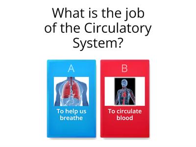 Circulatory & Respiratory System 2 - 3