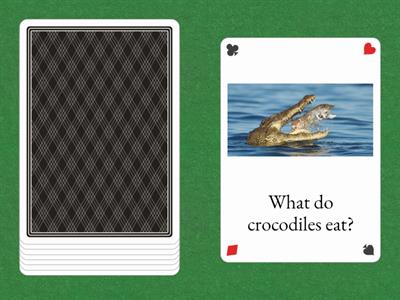 Fun for Movers. Animals. Crocodiles.