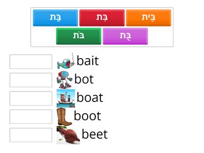 CVC ב-ת