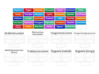 Instrumentkännedom år 6