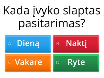 Klausimai perskaičius ištrauką iš J. Baltrukonytės kūrinio "Slaptas pasitarimas" 2 klasė