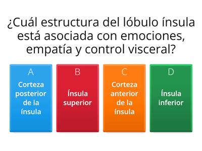 Desentrañando la Ínsula: Estructuras, Funciones y Trastornos.