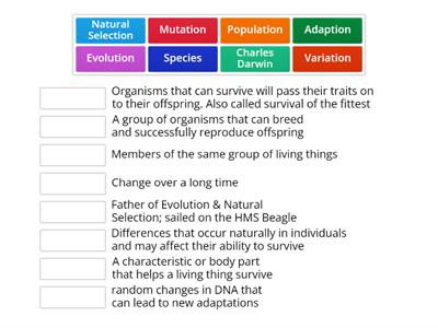 Evolution & Natural Selection