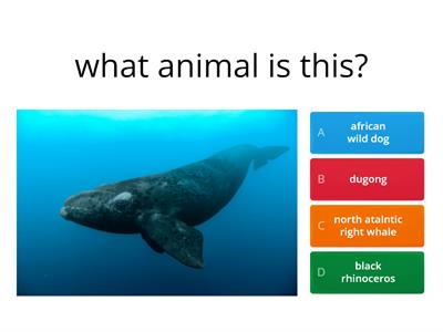 biological animals quiz