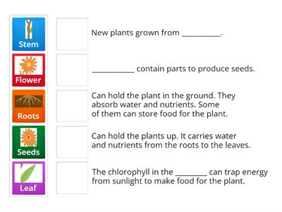 Functions of plant parts