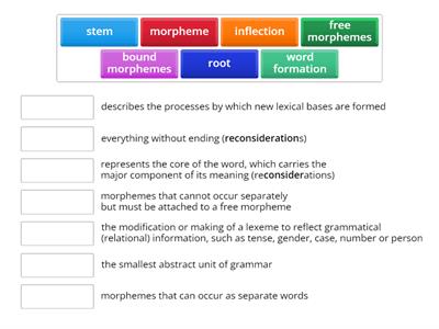 GOJA Terms