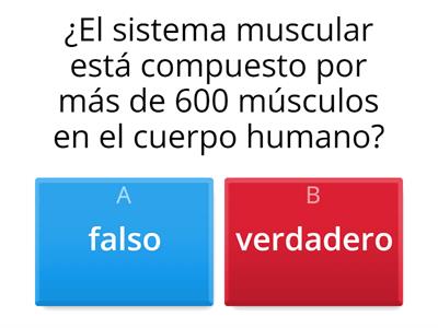 Sistema Muscular