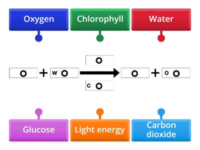Photosynthesis Word Equation