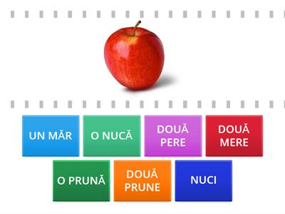 Fructe singular-plural