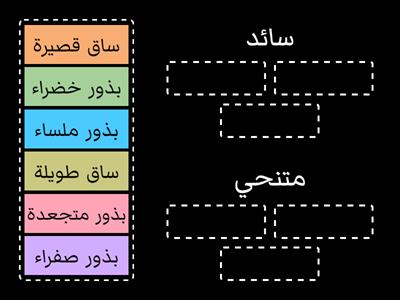 صفات البازلاء