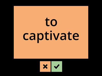 Vocabulary revision (case studies)