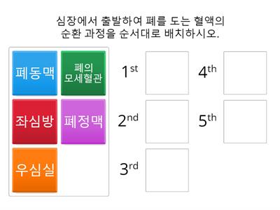 폐순환