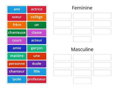 French Nouns + articles