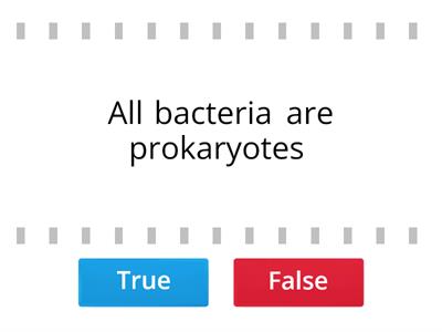 Prokaryotes, Protists and Fungi