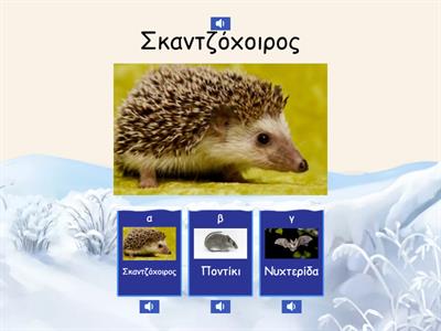 Ζώα σε χειμερία νάρκη