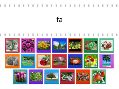 Basics Hungarian 4 - Szókincs 4.