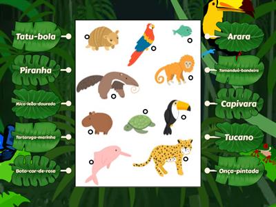 Nosso Canto de animais brasileiros