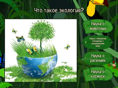Экология - Учебные ресурсы