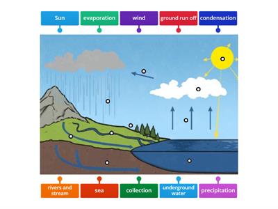 Water cycle labelling Year 4