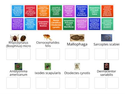 Identificando as caracteristicas dos principais ectoparasitas veterinário