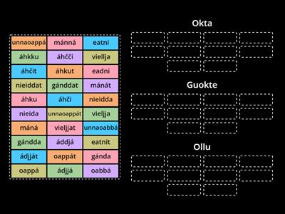 Gea 3: kapihttal 3: Galle? / Montako?