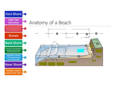 Anatomy of a Beach