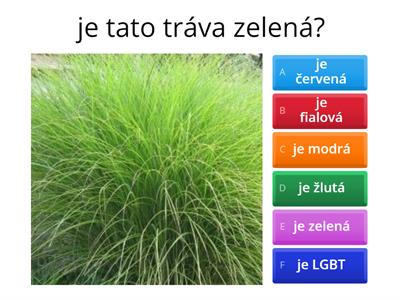 hádej vše