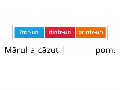 Într-o/într-un/dintr-o/dintr-un/printr-o/printr-un