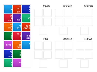 תפקידי מערכות הגוף