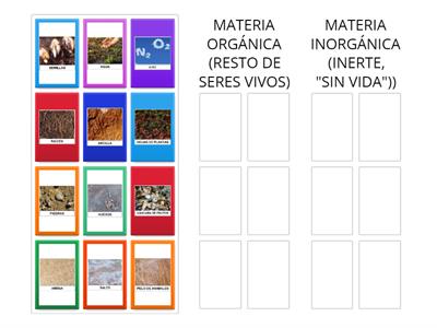 LOS DISTINTOS COMPONENTES DEL SUELO