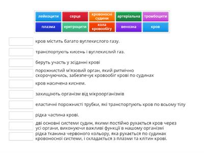 Як рухається кисень та поживні речовини в нашому організмі 