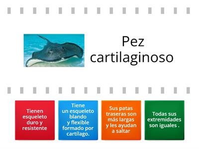 Tipos de anfibios y peces